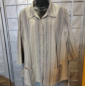 Allison Daley 20W long sleeve top. Button down. Neutral colors.